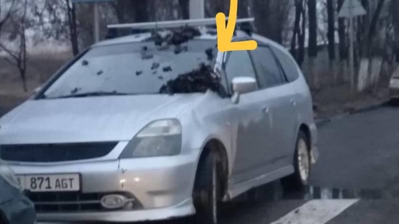 В Бишкеке автомобиль закидали мусором из-за парковки на зебре. Фото