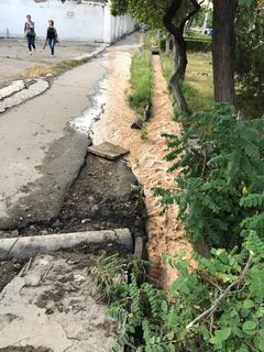 В районе Госрегистра арычная вода подтопила тротуар пр.Айтматова (фото)