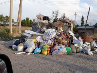 Жители Ак-Орго просят чаще вывозить мусор в такую жару