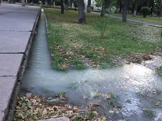 Фото — Арычная вода затопила площадку в Дубовом парке