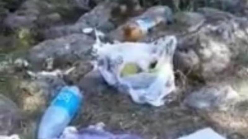 Жительница жалуется на мусор в санатории «Теплые ключи». Видео