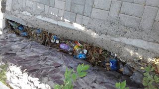 На улице Малдыбаева арык забит мусором (фото)