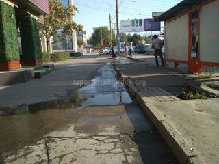 Арычная вода топит тротуар на улице Юнусалиева (фото)