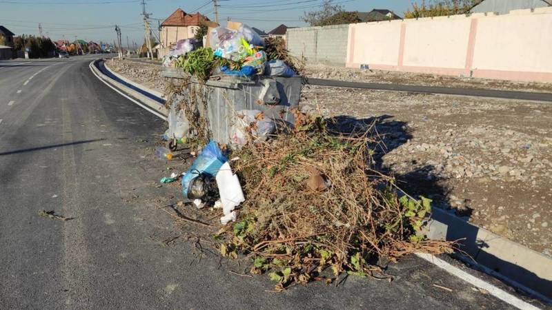 Горожанин просит сделать площадку для мусорных баков на Шералиева. Фото