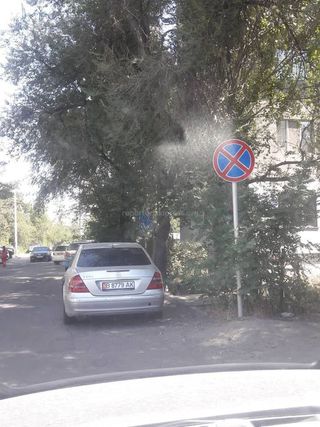 Парковка в зоне действия знака &quot;Остановка запрещена&quot; на Тыныстанова-Горького