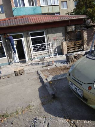 «Бишкекзеленхоз» не выдавал никаких разрешений на вырубку деревьев на ул.Салиевой в Аламедине-1