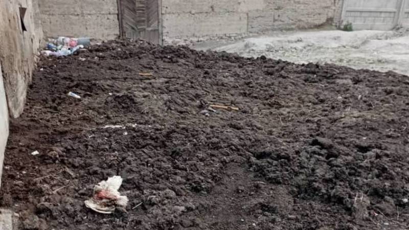 Житель Балыкчы складирует куриный помет у дома. Видео