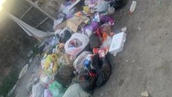 В мкр Достук мусор вываливается из баков. Фото