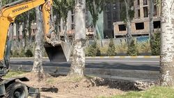 На Айтматова стройкомпания уничтожает деревья для организации выезда из дома? Фото