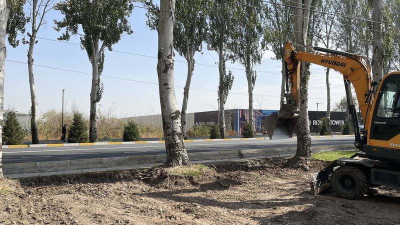 На Айтматова стройкомпания уничтожает деревья для организации выезда из дома? Фото