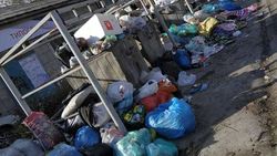 На Карасаева пакеты с мусором вываливаются из баков. Фото
