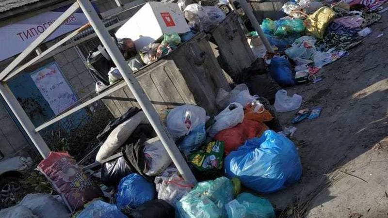На Карасаева пакеты с мусором вываливаются из баков. Фото