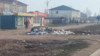 Из-за несвоевременного вывоза мусор разбрасывается вокруг в жилмассиве «Кок-Жар», - житель <b><i> (фото) </i></b>