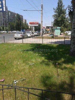 Жители жалуются на состояние тротуаров на пересечении Боконбаева и Ибраимова <b><i>(фото)</i></b>