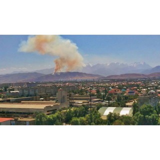 Жители столицы присылают фотографии пожара на горе