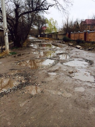 Будет ли отремонтирована дорога по улице Димитрова? - горожанин <b><i>(фото)</i></b>