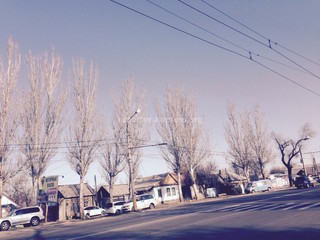 В связи со сменой ламп по улице Жибек жолу включено освещение, - «Бишкексвет»