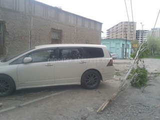 МП «Зеленстрой города Бишкек» убрало с прохожей части дороги ветку дерева, которая отломилась в результате сильного ветра