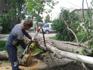 Дерево, которое сносили работники «Зеленстроя» в мкр Джал, упало на детский турник (фото)
