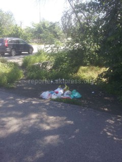 Горожане бросают мусор в неположенных местах, - читатель (фото)