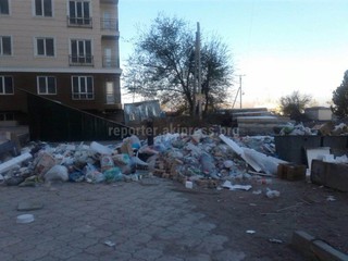 Мэрия Бишкека ответила читателю на жалобу о нехватке мусорных контейнеров в жилкомплексе «Ала-Тоо»