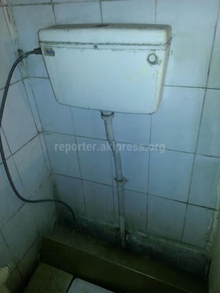 Все общественные туалеты в спорткомплексе МВД «Динамо» в рабочем и исправном состоянии, - МВД