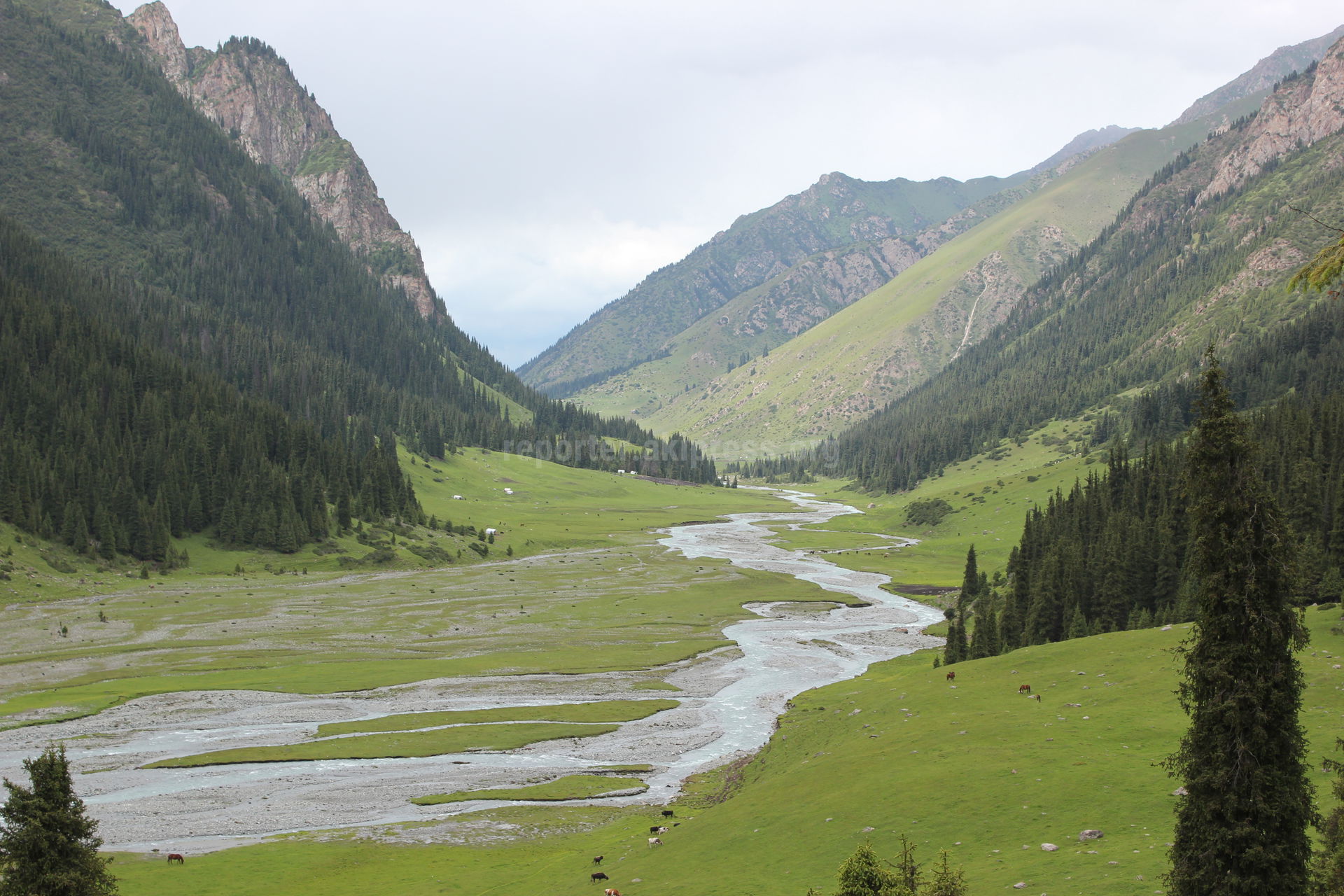 ущелье алтын арашан киргизия