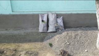 Читатель просит «Ош Тазалык» забрать мусор в селе Жийделик (фото)