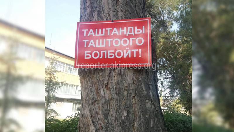 В парке рядом с университетом Ататюрка на дерево прибили табличку