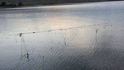 В озере Иссык-Куль в селе Кызыл-Туу оставили рыболовные сети <i>(фото)</i>