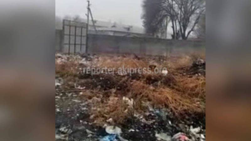 В сузакском мкр Черемушки на протяжении многих лет не вывозится мусор возле образовательных учреждений, - житель (видео)