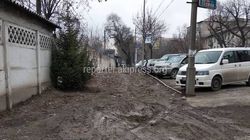 Житель Бишкека интересуется, будет ли произведен ремонт тротуара на улице Льва Толстого? (фото)