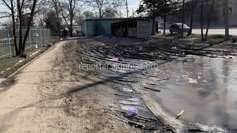 В Бишкеке на Салиевой-Буденного к мусорным бакам невозможно подойти из-за грязи (фото)