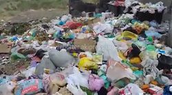 В Токмоке на ул.Ленина №366 больше месяца не вывозится мусор (видео)