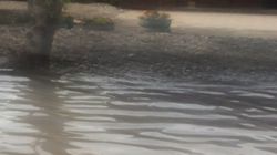 На Фрунзе–Б.Алыкулова дорогу постоянно затапливает дождевой водой (видео)