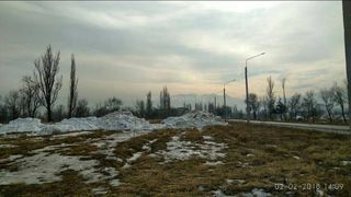 Бишкекчанин недоволен, что снег, который извлекают из Ала-Арчи, вываливают на саженцы на ул.Токтоналиева (фото)