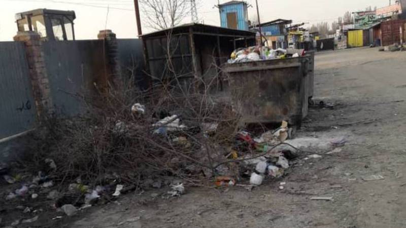 На улице Садыгалиева не вывозят мусор. Фото
