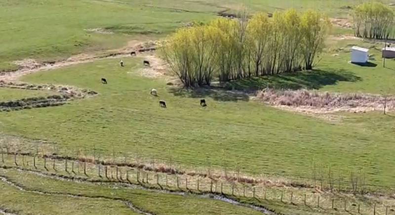 В водозаборном сооружении села Бирдик пасут скот, - местный житель. Видео