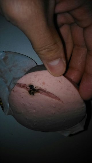 Читательница заявляет, что в докторской колбасе компании «Аброй» нашла насекомое <b>(фото)</b>