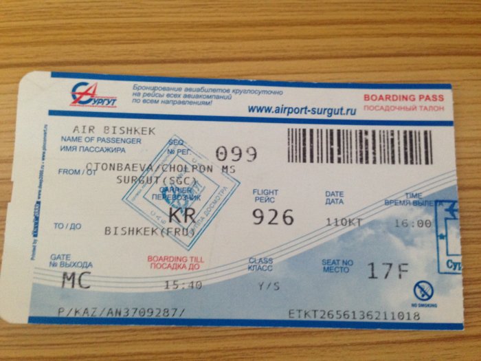Билет на самолет из кыргызстана билеты на самолет флай дубай официальный сайт