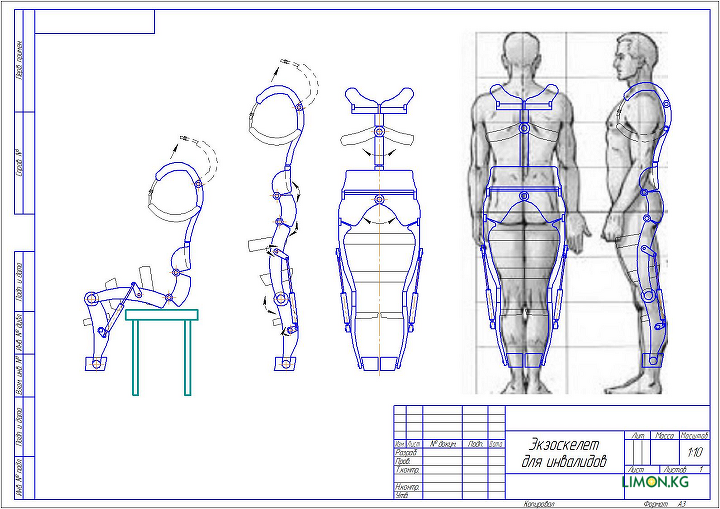 Устройство экзоскелета чертежи