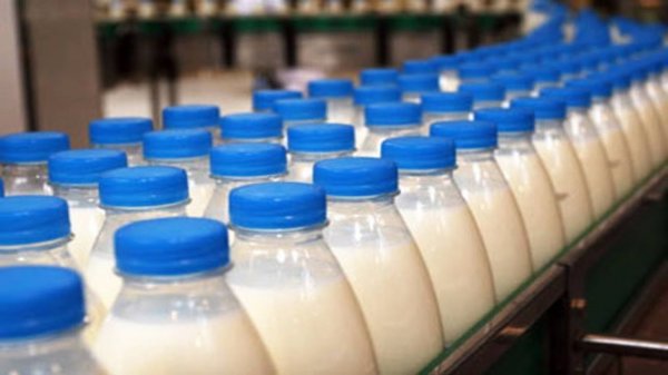 С 1990 года производство молока выросло на 28,7%, - Нацстатком — Tazabek