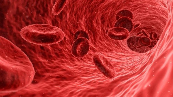 Энергия крови: наногенераторы превратят вены в «кровеносные электростанции»