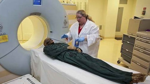 Ученые из Германии изъявили желание провести экспертизу мумии из Исторического музея