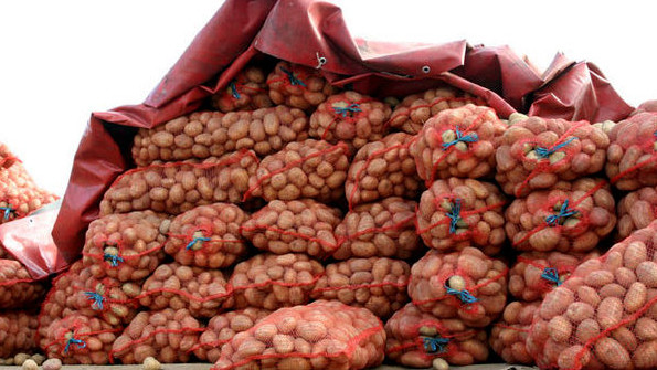 Какие компании  экспортируют картофель из Кыргызстана в соседние страны? (владельцы+отчисления) — Tazabek