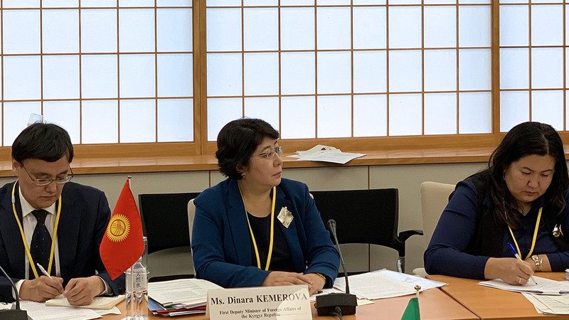 Первый замминистра иностранных дел Д.Кемелова предложила японским партнерам поддержать проекты в области цифровой экономики — Tazabek