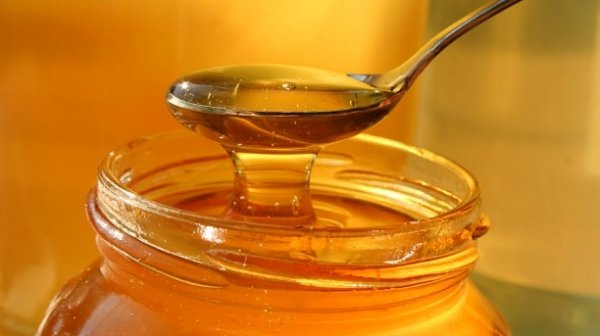 В какие страны Кыргызстан экспортирует мед? — Tazabek