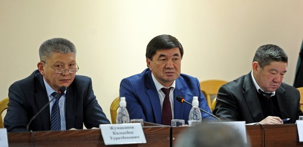 На сегодня по Кыргызстану идентификацию прошли более 50 тыс. голов крупно-рогатого скота, - правительство — Tazabek