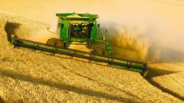 Минсельхоз ожидает получить производство семян зерновых культур в объеме 26,4 тыс. тонн — Tazabek