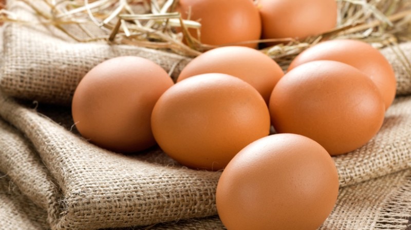 Госветфитоинспекция подтвердила документами возврат некачественных куриных яиц в Казахстан — Tazabek